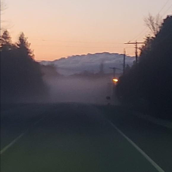 Meet your Posher, Sinead - Picture 1 of 1